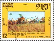 People haulding rice