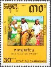 Women threshing rice