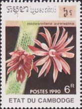 Hildewintera aureispina