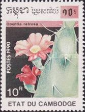 Opuntia retrosa