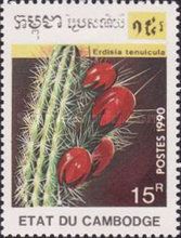 Erdisia tenuicula