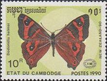 Helm's Butterfly (Dodonidia helmsi)