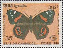New Zealand Red Admiral (Pyrameis gonnarilla)
