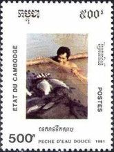 Freshwater Fishing