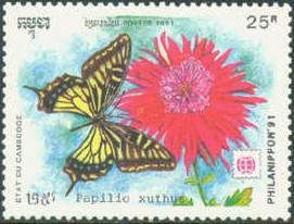 Citrus Swallowtail (Papilio xuthus)