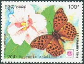 Fritillary Butterfly (Argynnis anadiomene)