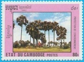 Palms