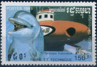 Common Bottlenose Dolphin (Tursiops truncatus), Deep Sea Boa