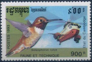 Rufous Hummingbird (Selasphorus rufus), Helicopter