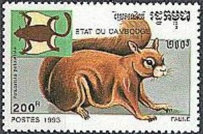 Red Giant Flying Squirrel (Petaurista petaurista)