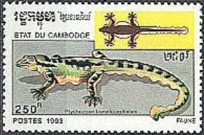 Flying Gecko (Ptychozoon homalocephalum)