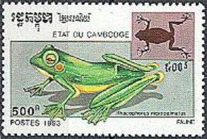 Wallace's Flying Frog (Rhacophorus nigropalmatus)