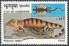 Flying Dragon (Draco volans)