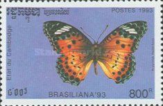 Indian Fritillary (Argyreus hyperbius)