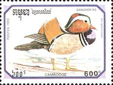 Mandarin Duck (Aix galericulata)