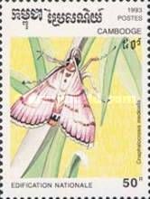 Rice Leafroller (Cnaphalocrosis medinalis)