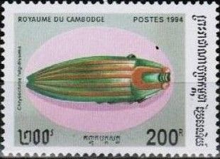 Jewel Beetle (Chrysochroa fulgidissima)