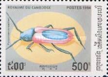 Long-horned Beetle (Purpuricenus kaehleri)