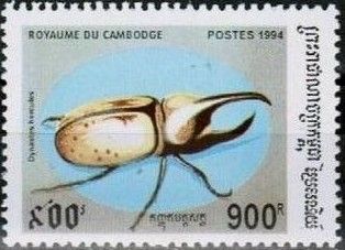 Hercules Beetle (Dynastes hercules)