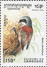 Eurasian Penduline Tit (Remiz pendulinus)