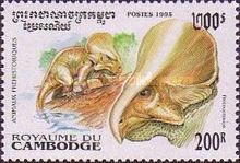 Protoceratops