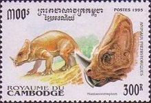 Montanoceratops