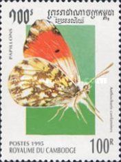 Orange Tip (Anthocharis cardamines)