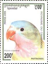 Princess Parrot (Polytelis alexandrae)