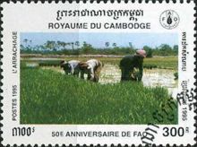 Farmers