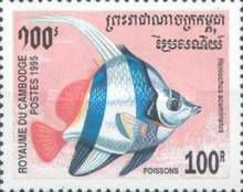 Pennant Coralfish (Heniochus acuminatus)