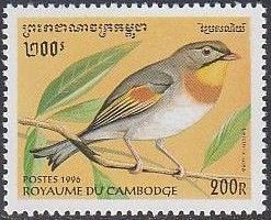 Red-billed Leiothrix (Leiothrix lutea)