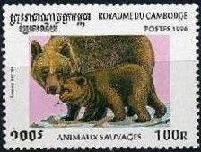 Brown Bear (Ursus arctos)