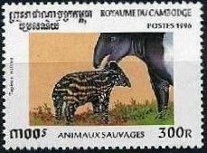 Asian Tapir (Tapirus indicus)