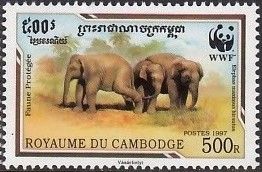 Malaysian Elephant (Elephas maximus hirsutus)
