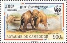 Malaysian Elephant (Elephas maximus hirsutus)