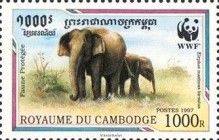 Malaysian Elephant (Elephas maximus hirsutus)