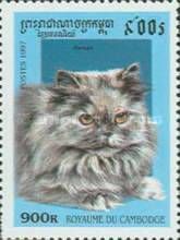 Persian (Felis silvestris catus)