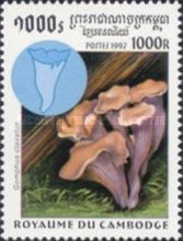 Gomphus clavatus
