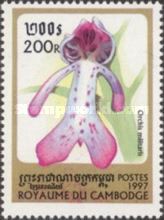 Orchis militaris