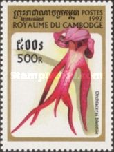 Orchiaceras bivonae