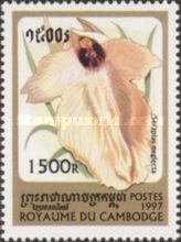 Serapias neglecta