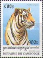 Tiger (Panthera tigris)
