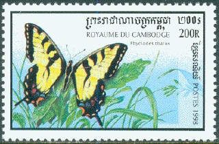 Eastern Tiger Swallowtail (Papilio glaucus)