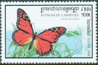 Monarch Butterfly (Danaus plexippus)