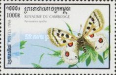 Apollo (Parnassius apollo)