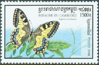 Swallowtail (Papilio machaon)