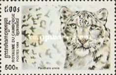 Snow Leopard (Panthera uncia)
