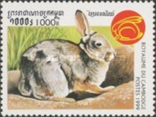 Rabbit (Family Leporidae)