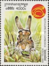 Rabbit (Family Leporidae)