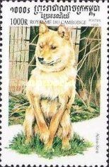 Ainu Inu (Canis lupus familiaris)